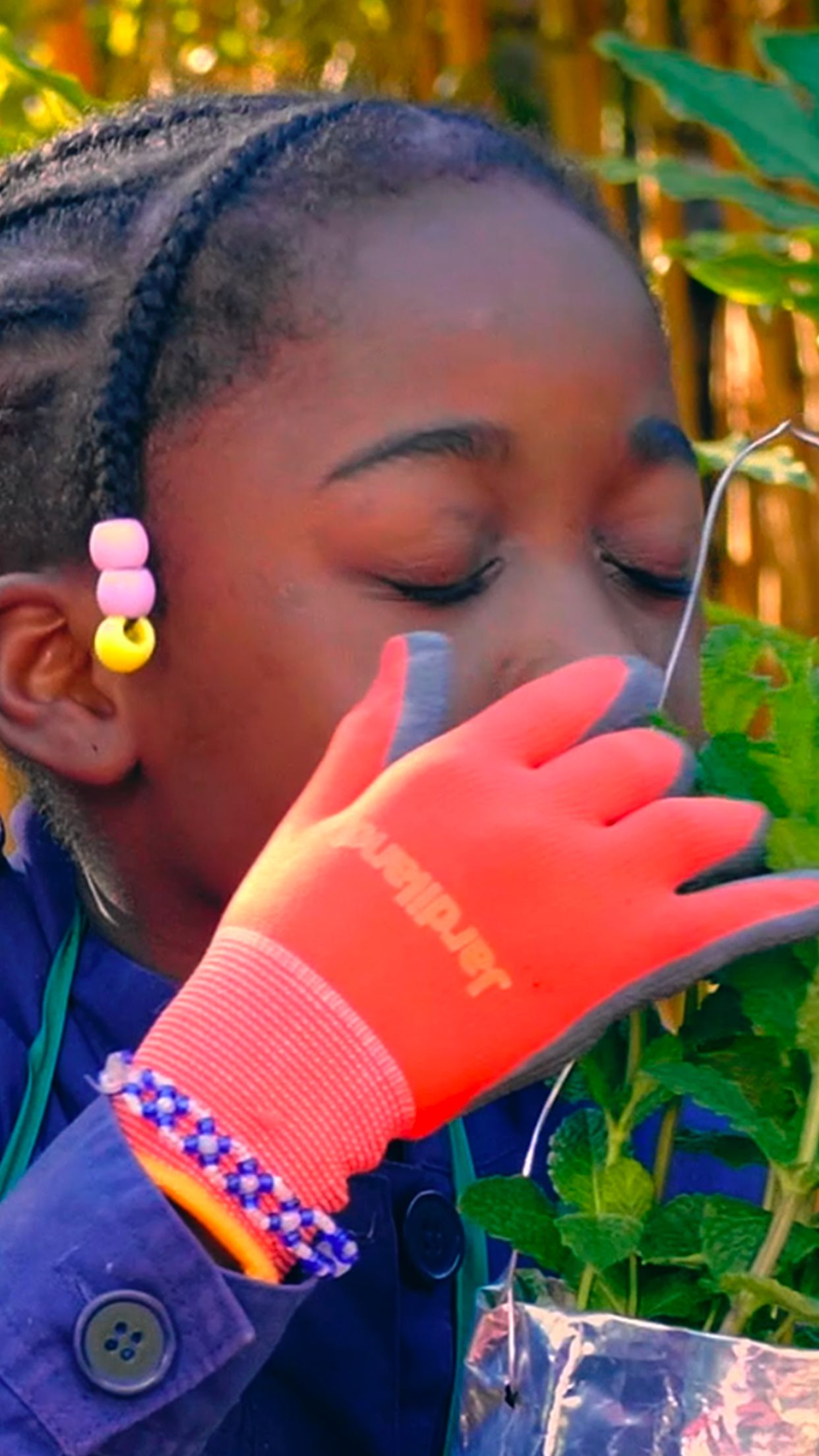agence raymonde projet diy jardiland