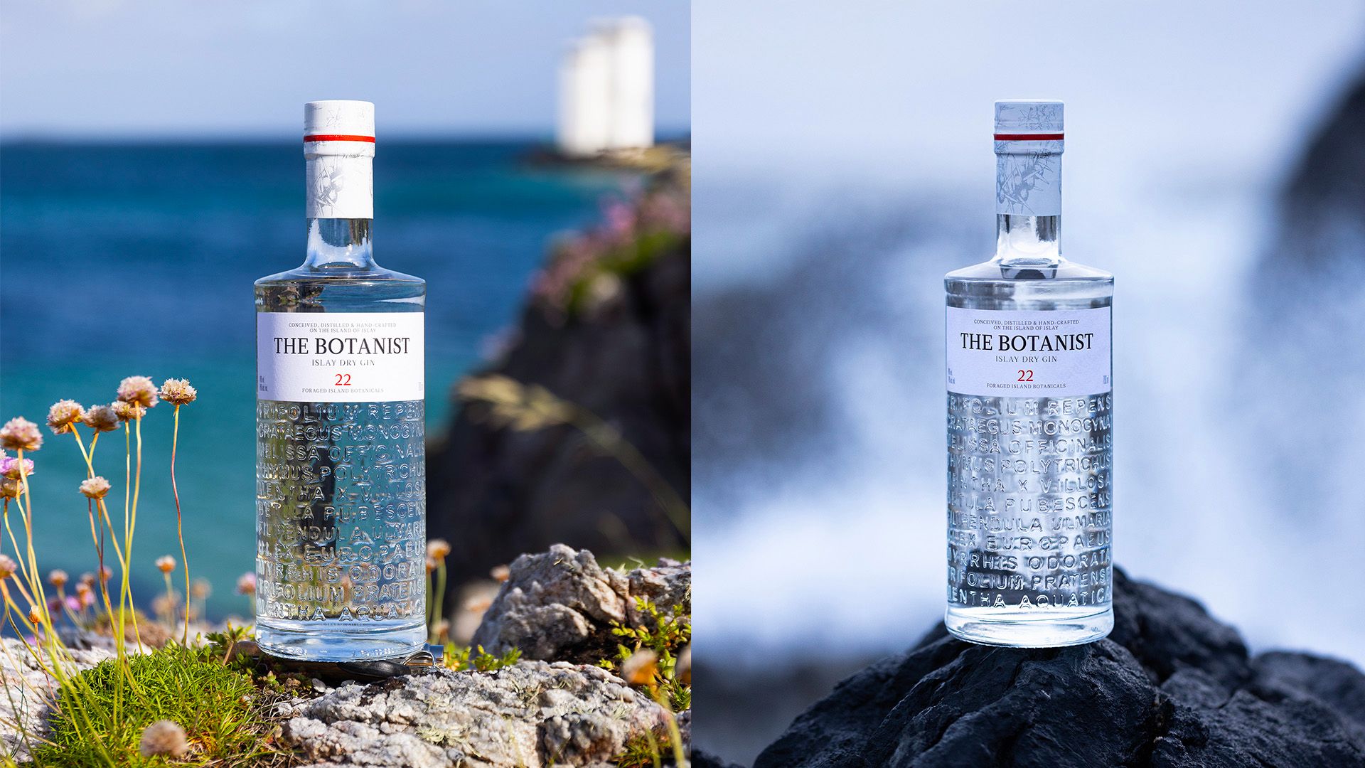 agence raymonde projet the botanist