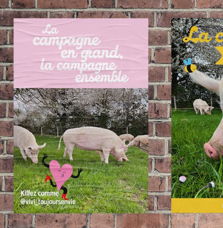 agence raymonde projet la vie