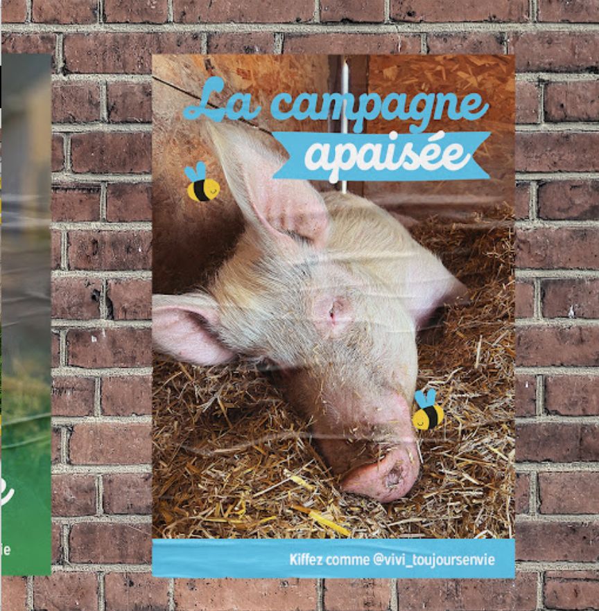 agence raymonde projet la vie